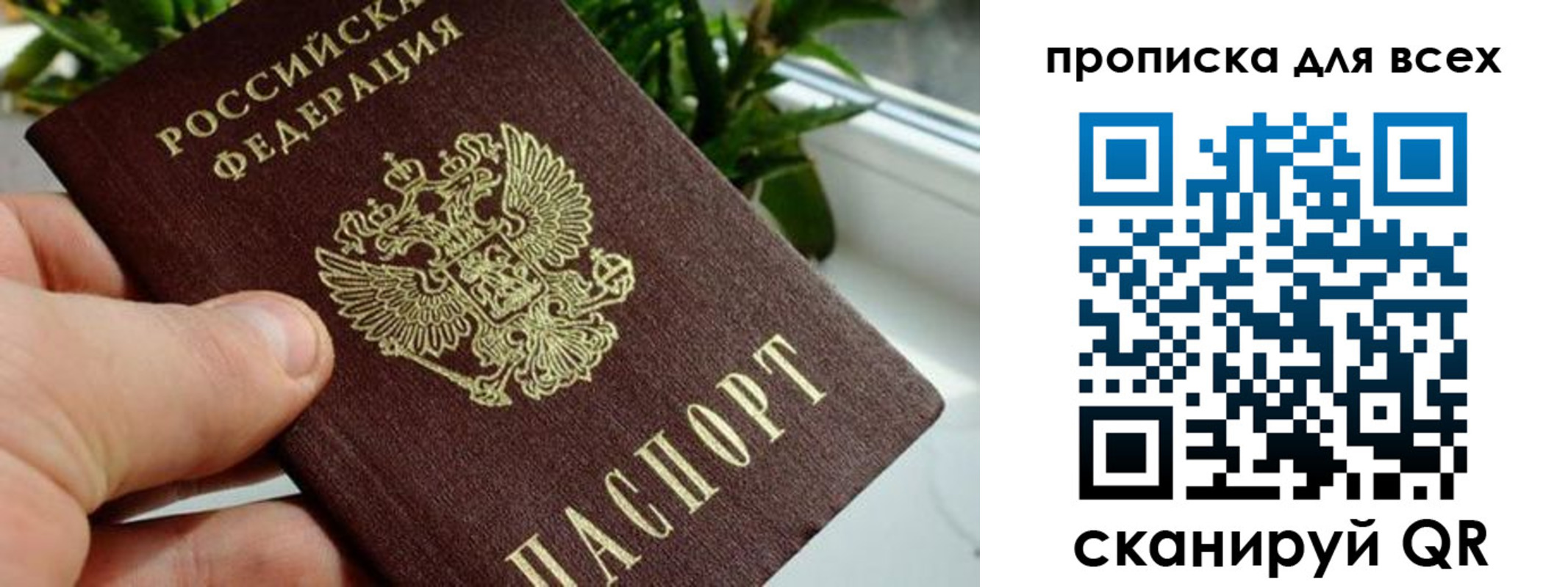 временная регистрация в квартире в Большом Камне